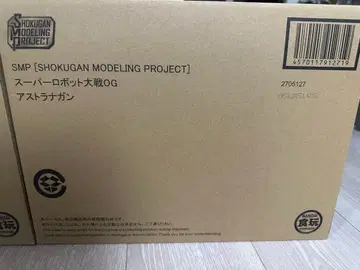 SMP 아스트라나간 R-GUN 리바레&빌트슈바인 인그램 세트