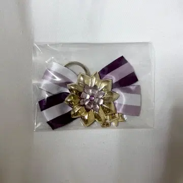 아이나나 expo 리본 참 쿠죠 텐