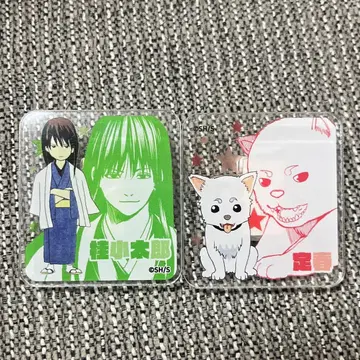 은혼 대은혼전 아크릴 배지 가츠라 코타로 엘리자베스