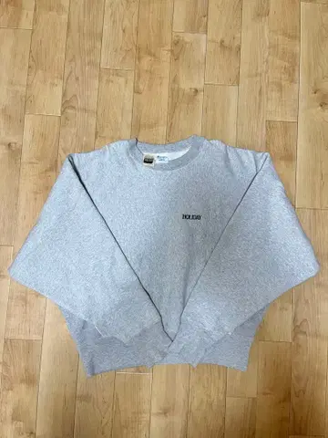 holiday 저널 스탠다드 champion 맨투맨