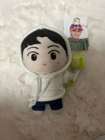 nct 마크 ccomaz 인형