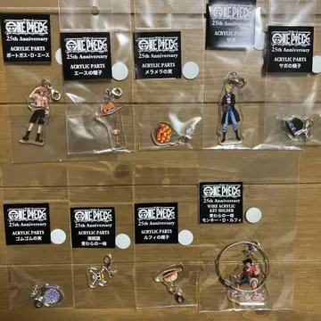 ONE PIECE 25주년 아크릴 키링 세트