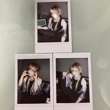 vistlip tohya 폴라로이드