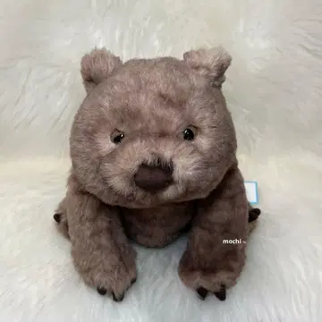 jellycat Wonda Wombat 봉제 인형