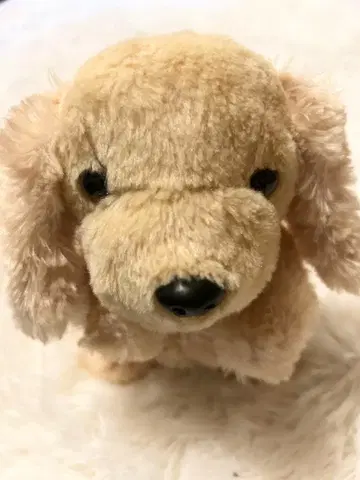 봉제 인형 강아지 브라운 말하기, 노래하기, 춤추기