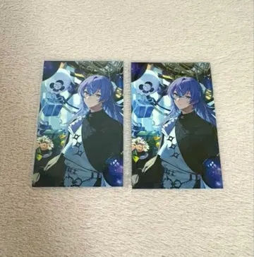 니지산지 호시미치 쇼 노스탤지어 I그룹 컬렉션 카드