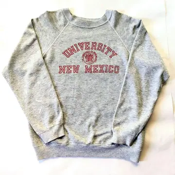 [ 초레어 ] Hanes 헤인즈 90s 올드 칼리지 맨투맨 U.S.A 제