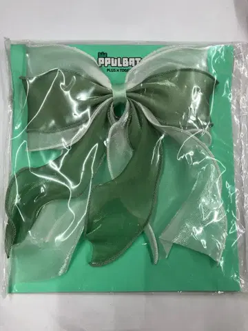 TXT 뿔바투 popup 용몽 민트 그린 HairTie