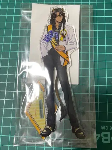 트위스테 레오나 치장 벌스데이 아크릴 스탠드