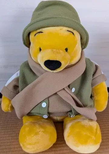 곰돌이 푸의 큰 봉제 인형