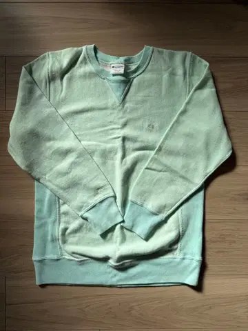 Champion 지나시스 트레이닝복 민트 그린