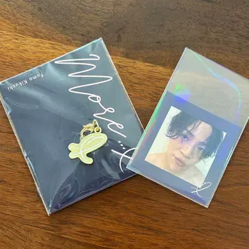 오후 해수욕장 참 키쿠치 후마