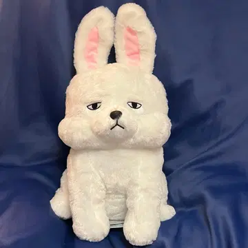 쿄무쿄무 구락부 울트라 BIG 사이즈 토끼 토끼 봉제 인형 미사용 새상품