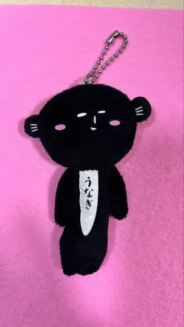 지역 한정 유키오 장어