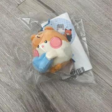 ZB1 제베원 zeroni 비니니 마그넷 키링 봉제 인형