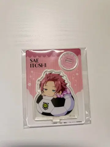 블루 록 이토시 사에 묶음 판매