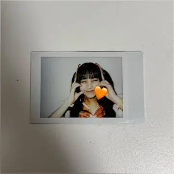 날마다 웃음 란체키