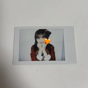 히비니코리 란체키