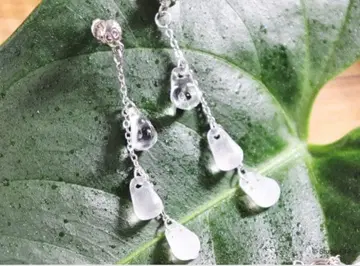 이웃집 토토로 투명 코토토로 시리즈 귀걸이 미개봉 새상품 완판템