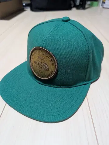 THE NORTH FACE NN42232 그린 캡