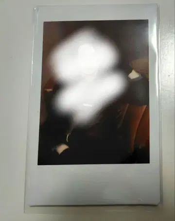 야자와 모토하루 씨 폴라로이드