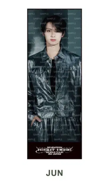 RIGHT HERE JAPANBIG PHOTO TOWE 준