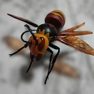 대왕말벌 리얼 피규어 빅 사이즈