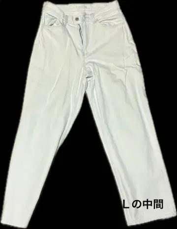 남성용 청바지 화이트 28 (71cm) 롱 바지 데님