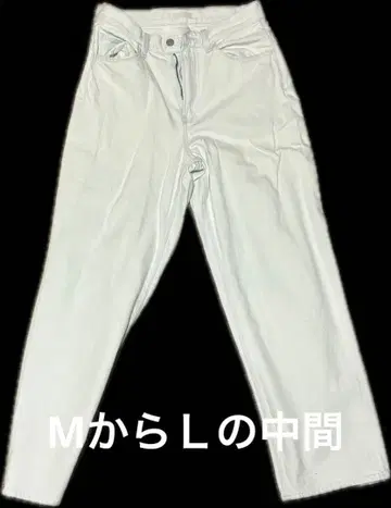 남성용 청바지 화이트 28 (71cm) 롱 바지 데님