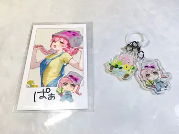 스트그라 ColorFlora PUS 안보 사부로 미사용 새상품