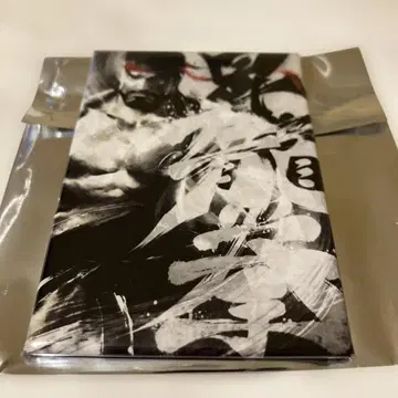 스트리트 파이터 트레이딩 스퀘어 마그넷 류