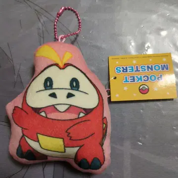 미사용 새상품 택 포함 포켓몬 뜨아거(호게타) 봉제 인형 키링 동전 지갑