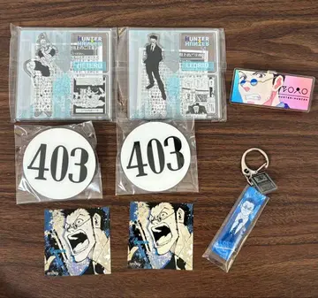 HUNTER x HUNTER 토가시전 세트