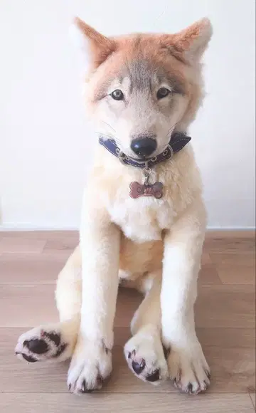 작가님 제작 자목 아트 인형