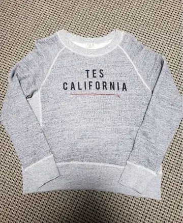 TES 엔드리스 써머 CALIFORNIA 맨투맨 M 사이즈 그레이
