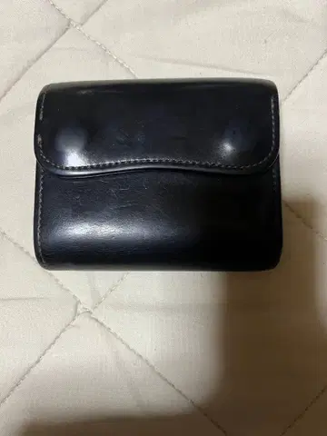 라스트 크롭스 콜트