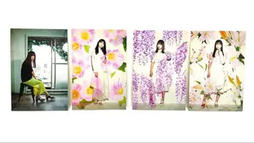 노기자카46 포 시즌즈 엽서 사이토 아스카 쿠보 시오리 요다 유키