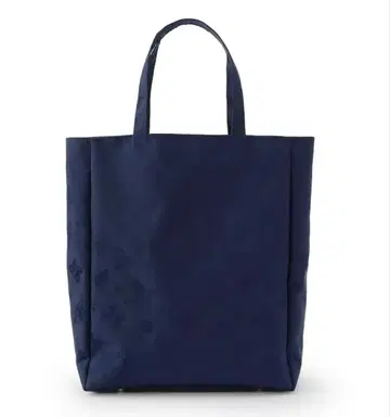 페이러 하이디 학교 시리즈