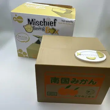 장난 BANK 삼색 고양이 남국 밀감 저금통