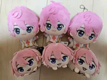 스토푸리 사토미군 SD 인형 모치코로링