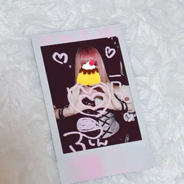 NANIMONO 네무리기시 푸린 폴라로이드