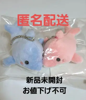 바다의 시작 돌고래 마스코트 Snow Man 메구로 렌