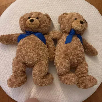 하니 테디베어 봉제 인형 2체 세트