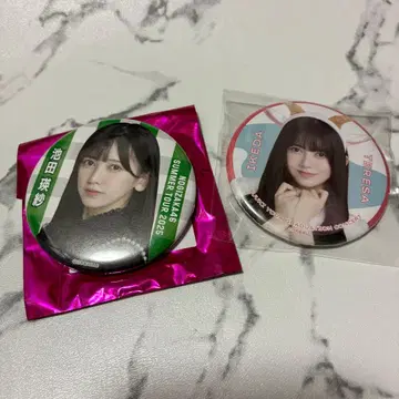 노기자카 이케다 에이사 캔뱃지 세트