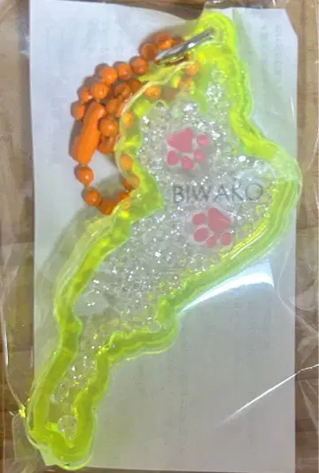 비와코 아크릴 키링