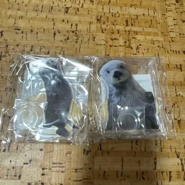 캡슐 복권 x 토바 수족관 D상 2마리가 지탱하는! 펭귄 스탠드