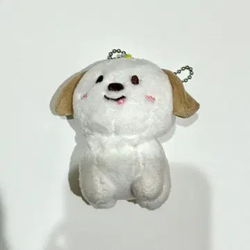 RIIZE 앤톤 몽룡이 10cm 봉제 인형 키링