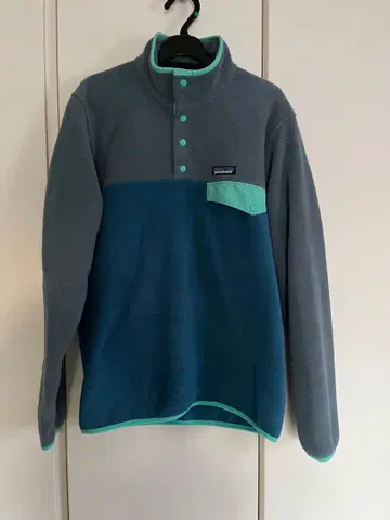 Patagonia 플리스 풀오버