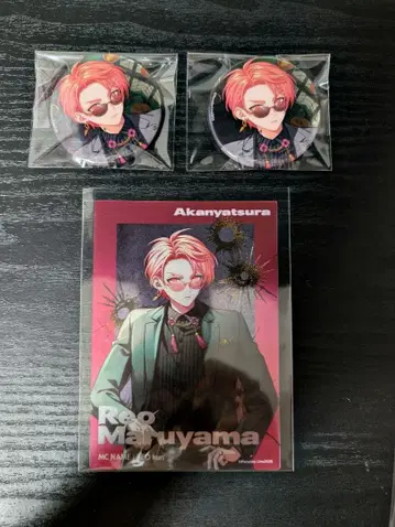 파라라이 레오 캔뱃지 메타카 3종 세트