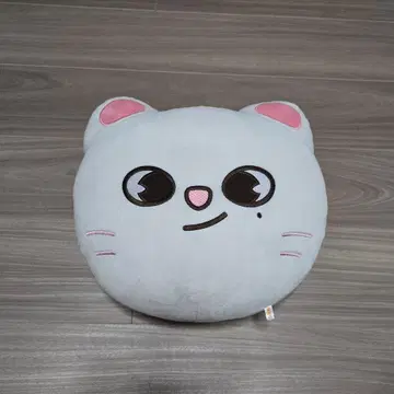 straykids skzoo 쿠션 지니레트 현진